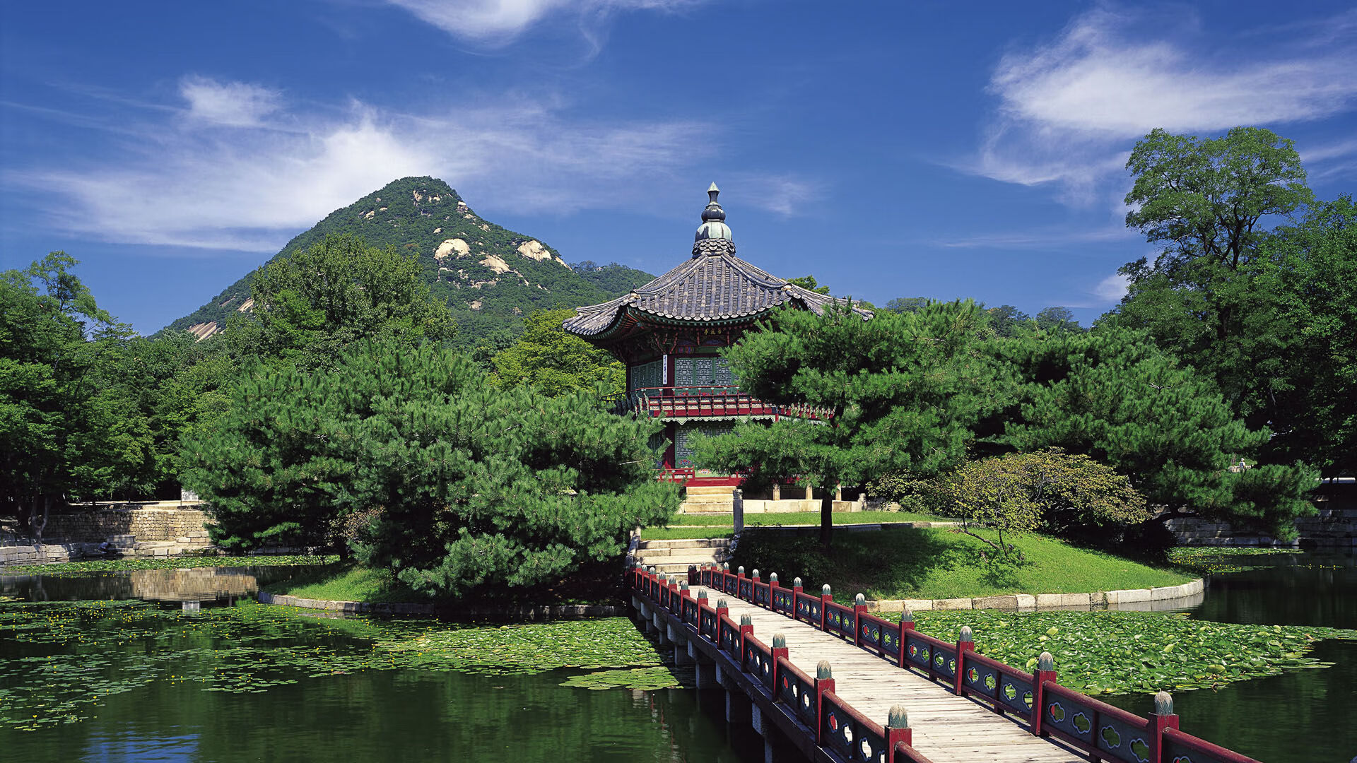 世界举重康复在线课堂学员优秀实践提案征集启动,世界举重协会官网